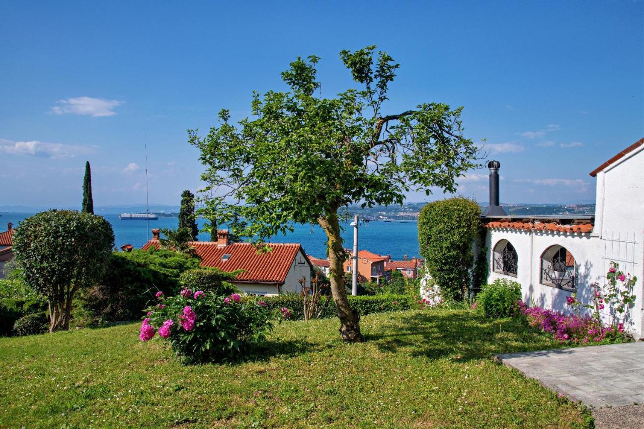 Apartma Ika Appartement Koper Buitenkant foto
